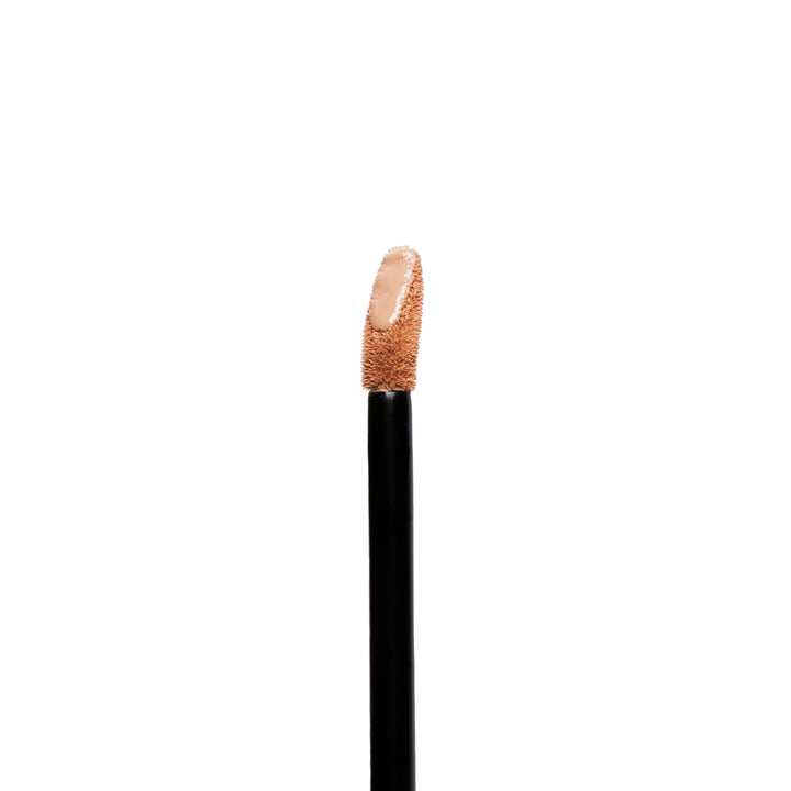 Warm Honey - Liquid Concealer